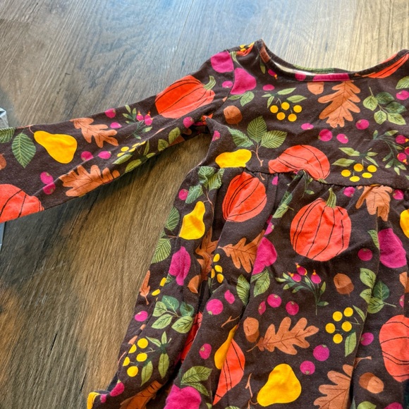 🍂 Children’s Place Fall Harvest Dress – Size 2T - Picture 2 of 4